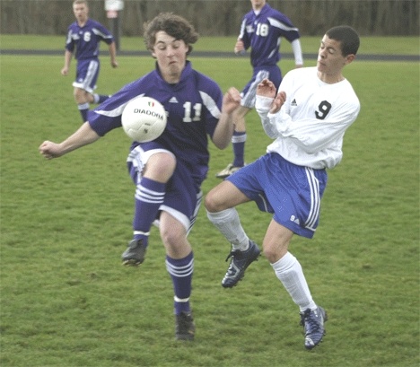 Falcon Felipe Marmolejo