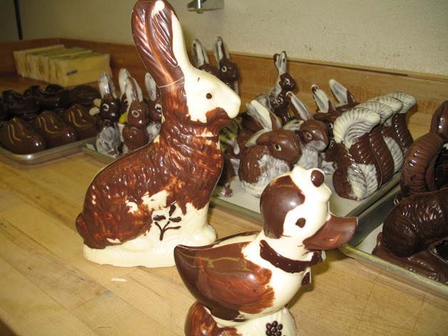 These chocolate bunnies