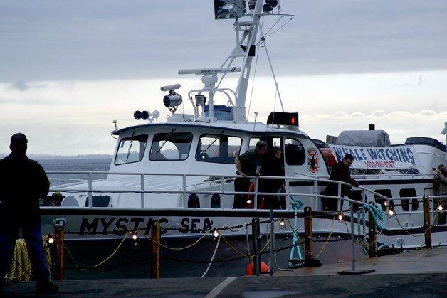 The Mystic Sea will host whale watchers out of the Langley Marina next March 8 through April 29.