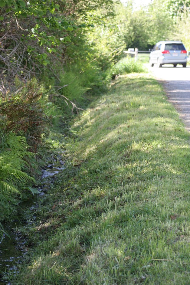 The developers of Langley Passage have proposed a sewer line extension on Edgecliff Drive