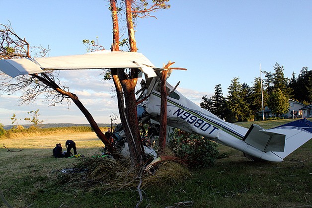 The wreckage of a plane crash in a madrona tree near the Oak Harbor airport is inspected by emergency responders Monday.