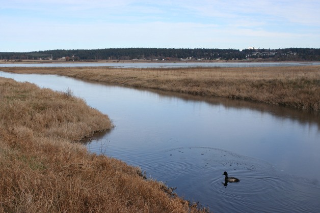The Whidbey Camano Land Trust has worked to preserve the land around Crocket Lake