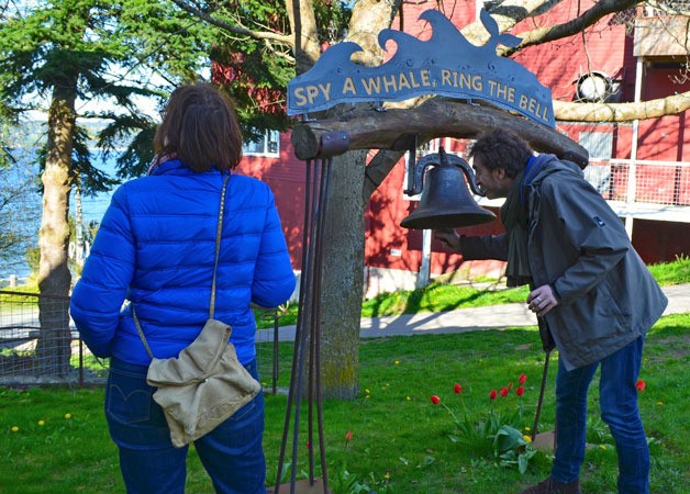 Marie Gaudry and Jean-Charles Delaume look at the bell at Whale Bell Park in Langley. They are visiting Whidbey Island from France. The annual Welcome the Whales Festival is set for 11 a.m. Saturday.