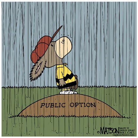 Today's cartoon is by RJ Matson of Roll Call.