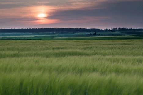 Professional photographer Tony Sweet captured this sunset over an Ebey's Landing prairie in Coupeville.