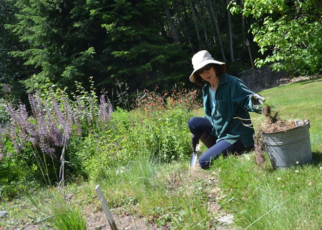 Diane Stone takes out weeds in her vegetable garden. She said she tends to her garden every day.