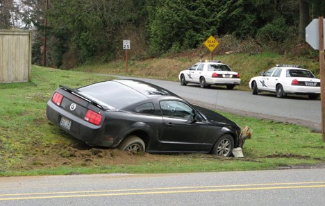 The driver of this Ford Mustang went off the road near Fish Road near Scenic Avenue on Sunday.