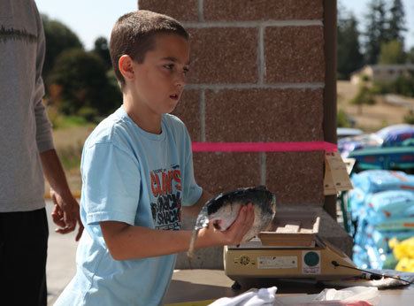Trevor Huff waits his turn at weigh-in for the Whidbey Pink Salmon Derby. His patience was rewarded — he took third place in the under-14 category with his 4.21-pound fish.