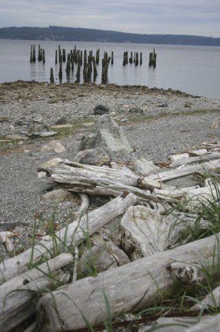 A dispute is growing over access to the beach off Wonn Road at Greenbank.
