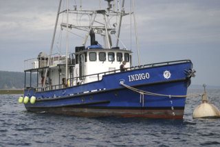 The 65-foot Indigo is anchored off Langley during a recent visit. The former Korean War-era coastal cruiser has been turned into a floating marine science laboratory for students and teachers as part of SEA
