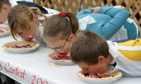 Pie-eaters go for berry gold at the Loganberry Festival at Greenbank Farm.