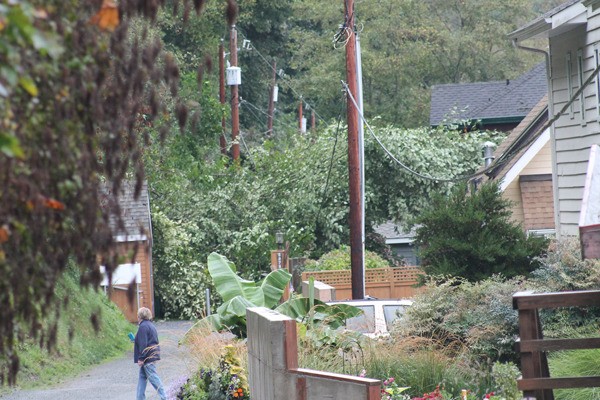 A Hastings Road resident checks the scope of damage caused by a small landslide in Clinton on Friday morning after several hours of steady rainfall. A retaining wall stopped the tree from smashing into the house.