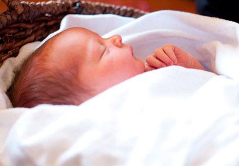 Tula Florence Williams