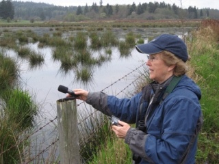 Chris Peterson records ambient sounds on Whidbey Island for the radio show 'BirdNote.'