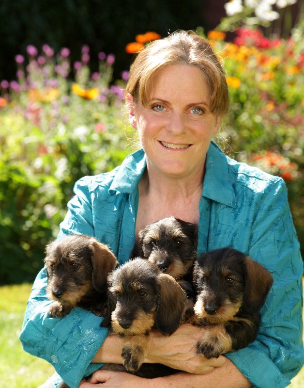 Jean Dieden earned the American Kennel Club Lifetime Achievement Award for her performance events with her Hathor Farm Wirehaired Dachshunds.