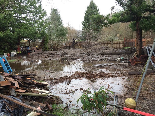 A mudslide along with two evergreen trees wrecked the back yard of a Maxwelton Beach home on Jan. 22. Water damage to the yard stemmed from a heavy rainstorm that produced over two inches of rain on Jan. 21-22.