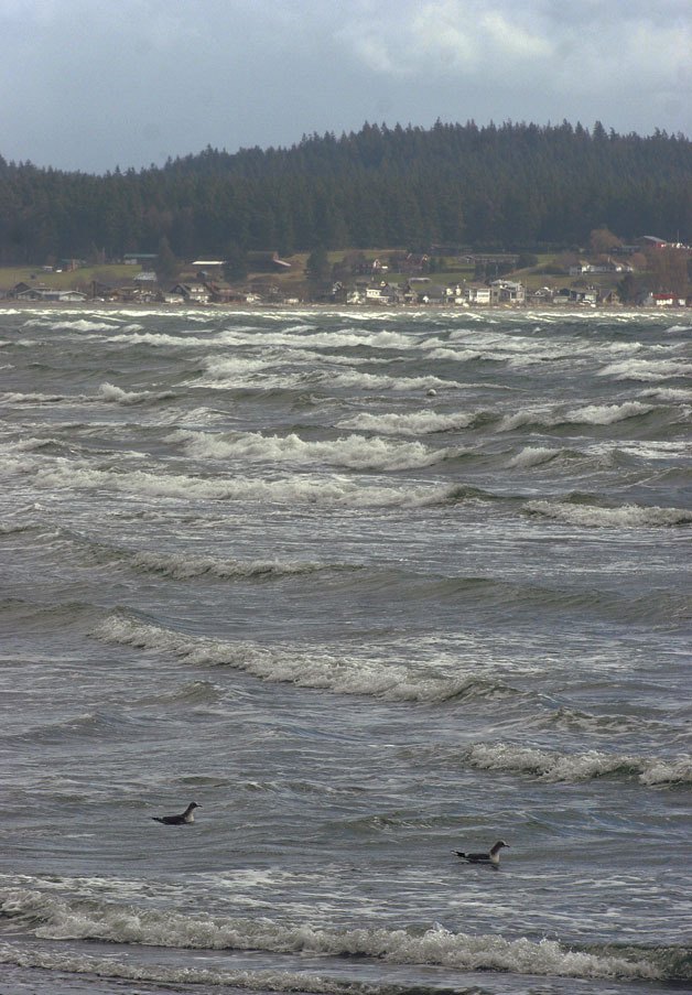 Big waves roll in at Double Bluff Beach on Wednesday morning.