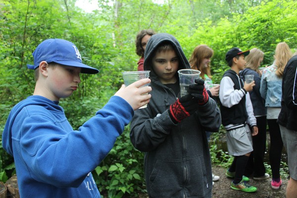 South Whidbey Elementary School fifth graders Devin Degroat and Tyler Boyd give one last look at salmon fry raised by their class before releasing them into Maxwelton Creek Tuesday morning.