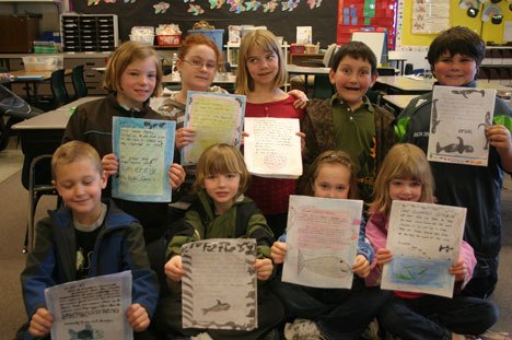 First- and fourth-grade students at South Whidbey Elementary School show the letters they wrote to state officials urging protection of the orcas. In the front are Brennen Pearson