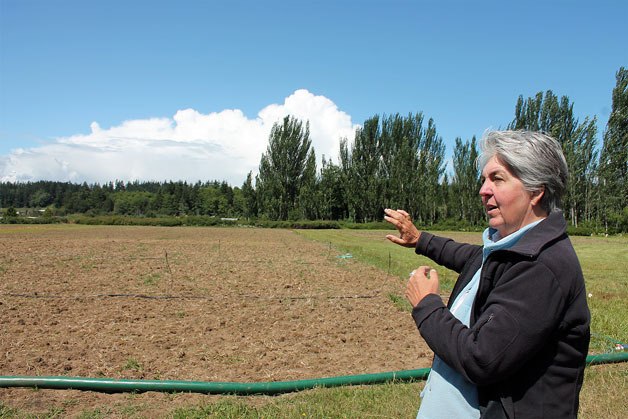 Organic Farm School Director Judy Feldman shows off the farm school’s new home. Their new farmland is located at an old horse racing track.