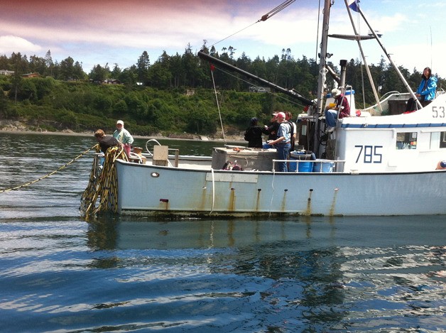 Crew with Anchor Ventures LLC