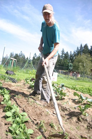 Chris Korrow tills the ground at Langley Community Garden and Al Anderson Farm on May 12. He asked Langley city leaders to consider a lower water rate that would encourage small edible gardens or farms within city limits.