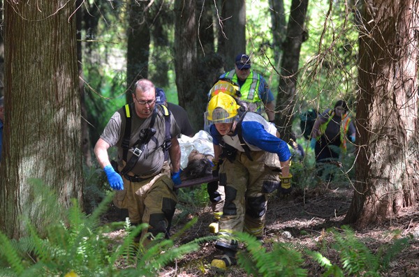 South Whidbey Fire/EMS firefighters rescue a woman from a gully bordering Highway 525 near Deer Lake. A person walking along the highway heard her yelling for help from the woods. She was rescued shortly before 1 p.m. on Wednesday.