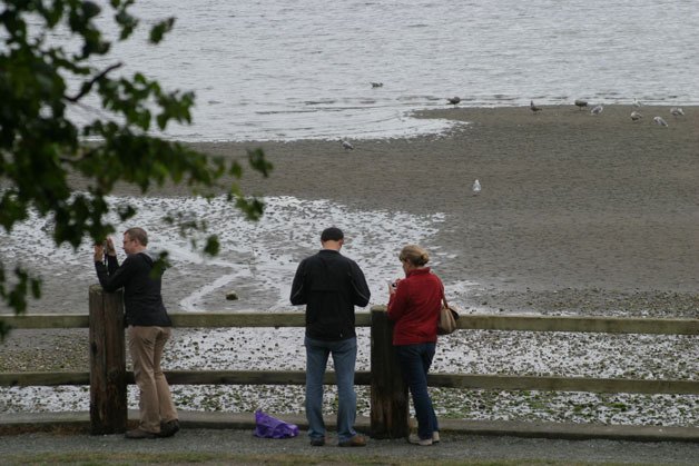 An extreme low tide at Seawall Park in Langley catches the eyes of visitors Tuesday.