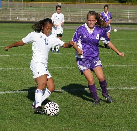 Falcon Channy Potter