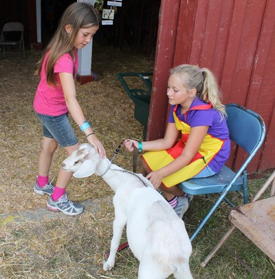 A 4-H participant shows her goat to a passerby outside the goat barn at the Whidbey Island Area Fair.