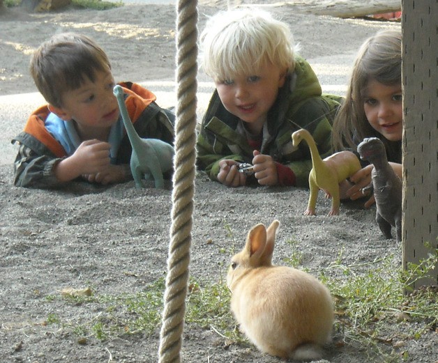 Dinosaurs under the direction of Sage Arends