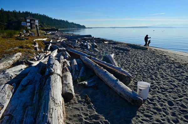 A man walks his dog at Robinson Beach Park on South Whidbey. Island County’s Shoreline Master Program is once again before the Board of Commissioners. The state has returned the document with attached public comments and the board is tasked with making final changes before the agency must make a decision