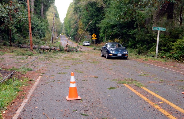 A car skirts a tree downed during Tuesday's windstorm on East Saratoga Road. Puget Sound Energy reported this afternoon that it's making progress restoring power to communities throughout the region but road debris has been a challenge on South Whidbey.
