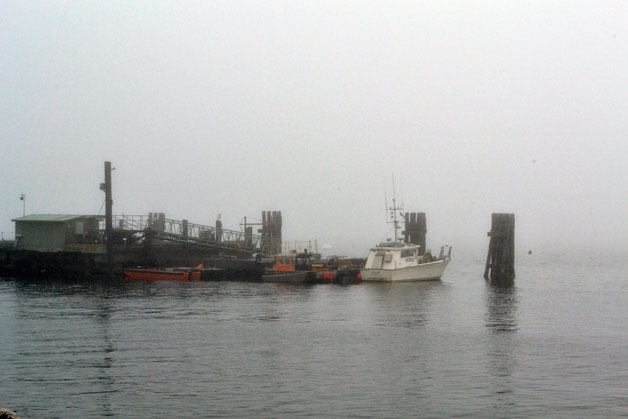 Boats sit tied up at the work dock near Langley Marina in South Whidbey Harbor. Crews are expected to resume work on the project later this week. Work has been stalled for weeks following a crane and barge accident in mid-August.
