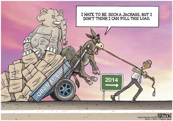 Today's Cartoon for Wednesday, Nov. 20, 2013