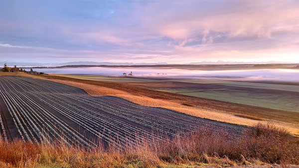 Christopher Short of Langley shot this landscape image of Ebey’s prairie with a camera phone.