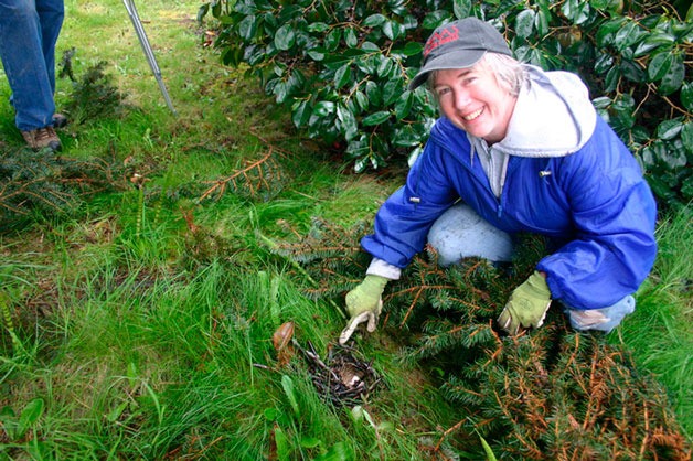 Laurie Davenport joined her neighbors from all over South Whidbey to help on Hearts & Hammers' May work day 2011.
