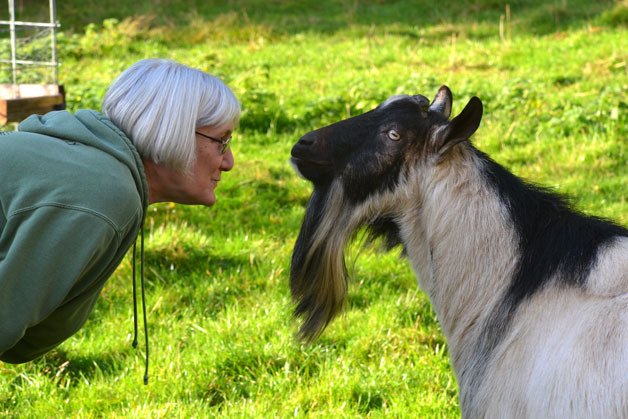 Pam Cassidy gets up close with her goat named Rascal. Cassidy took home a first-place award for her soft goat cheese in the American Dairy Goat Association’s 2013 Cheese Competition.