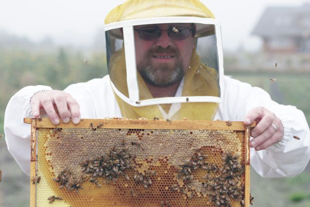 David Neel tends to his beehives on Monday: “The way it was done tells me a beekeeper did it.”
