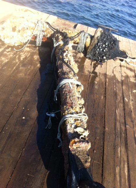 The anchor brought up from the west side of Central Whidbey Island after 222 years after it reportedly was lost from the HMS Chatham during Captain George Vancouver's expedition into the Pacific Northwest.