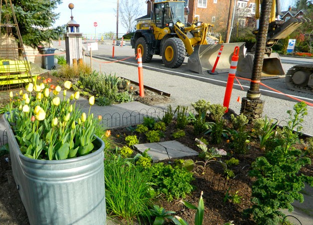 Langley City officials recently transferred landscaping duties of the garden in front of city hall to the Main Street Association.