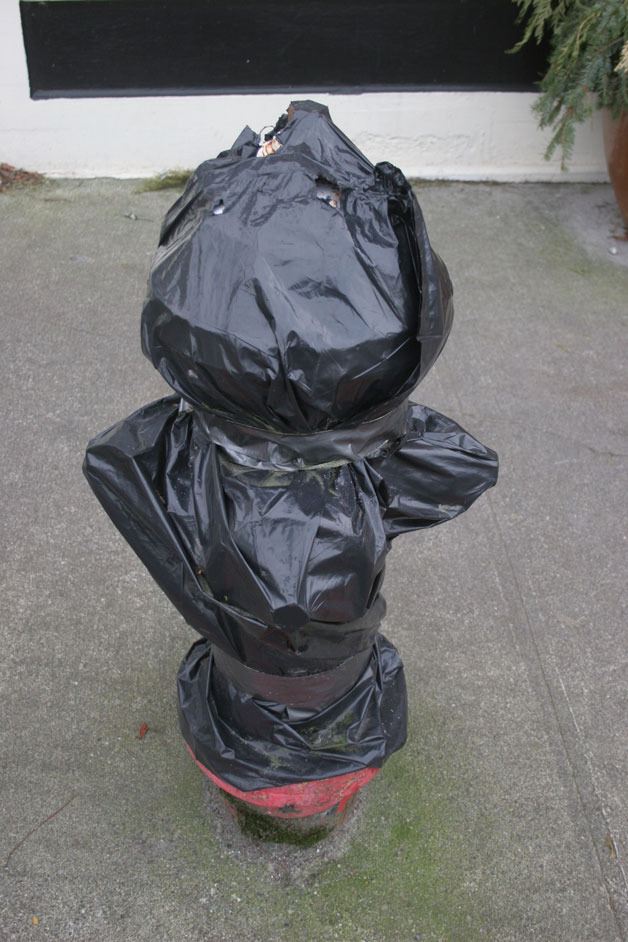 Langley's black-bagged fire hydrants will finally be removed during a water-line replacement project later this year on First Street.