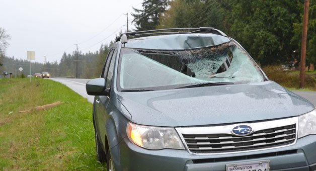A Freeland man needed stitches on his head after a deer smashed through his Subaru windshield Thursday afternoon near the American Legion hall in Bayview. The deer