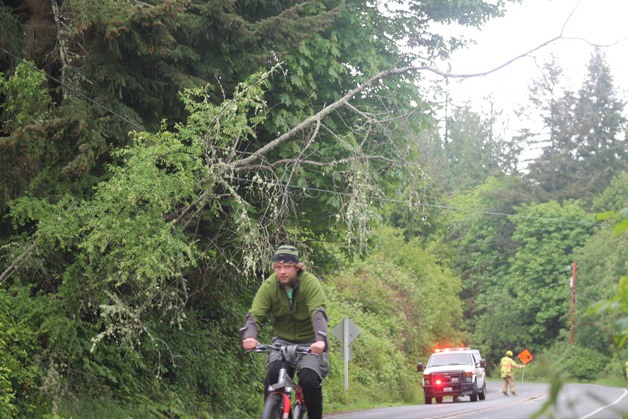 A bicyclist passes a tree that fell onto the lines on Wilkinson Road near the Surface Road intersection on Friday
