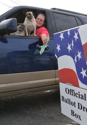 Christina Hilkey drops off her ballot in Coupeville Monday with the help of her pugs