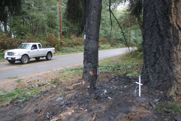 A cross marks the scene were three young men lost their lives in a car crash on Wilkinson Road early Saturday morning.