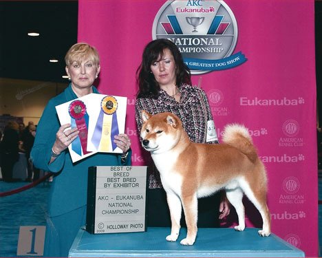 Judge Charlotte Patterson (left) presents awards to Sandi Smith of Langley and her Shiba Inus