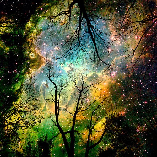 Evolutionary philosopher Brian Swimme made a film on the Greek island of Samos titled “Journey of the Universe.” The documentary will be shown at The Clyde Theatre in Langley at 9 a.m. Saturday