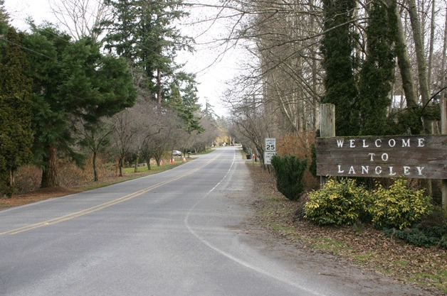The tree-lined Third Street entrance to Langley. The city is again working on tree rules and regulations.