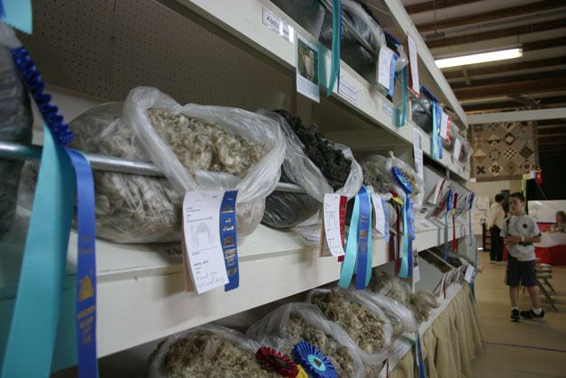 Various sheared fibers sit in a row along shelving at the Whidbey Island Area Fair.